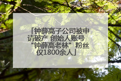 钟薛高子公司被申请破产 创始人账号“钟薛高老林”粉丝仅1800余人