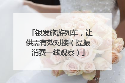 银发旅游列车，让供需有效对接（提振消费一线观察）