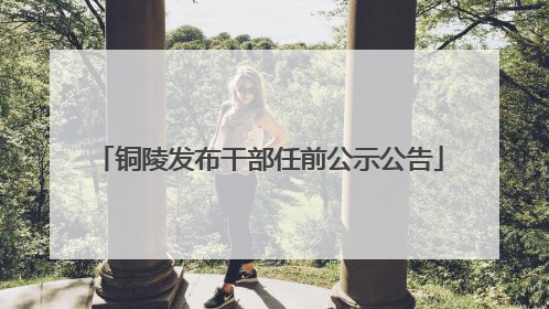 铜陵发布干部任前公示公告