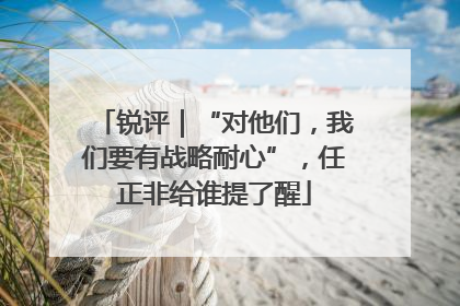 锐评|“对他们,我们要有战略耐心”,任正非给谁提了醒