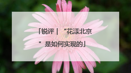 锐评｜“花漾北京”是如何实现的