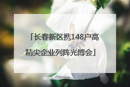 长春新区携148户高精尖企业列阵光博会