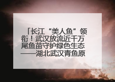 长江“美人鱼”领衔！武汉放流近千万尾鱼苗守护绿色生态——湖北武汉青鱼原种场参加2025年“全国放鱼日”增殖放流活动