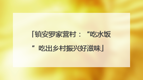 镇安罗家营村：“吃水饭”吃出乡村振兴好滋味