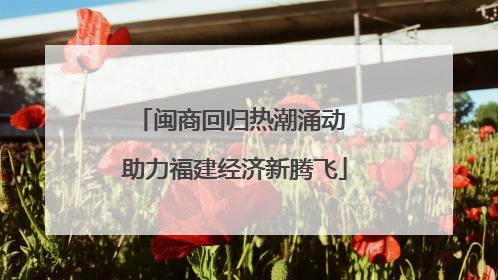 闽商回归热潮涌动 助力福建经济新腾飞