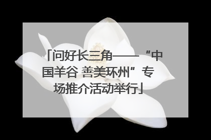 问好长三角——“中国羊谷 善美环州”专场推介活动举行