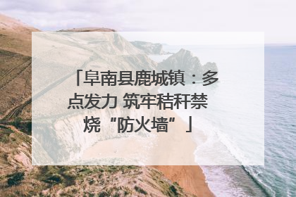 阜南县鹿城镇：多点发力 筑牢秸秆禁烧“防火墙”