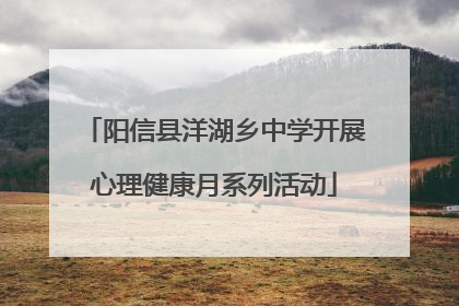 阳信县洋湖乡中学开展心理健康月系列活动