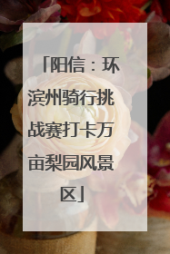 阳信：环滨州骑行挑战赛打卡万亩梨园风景区