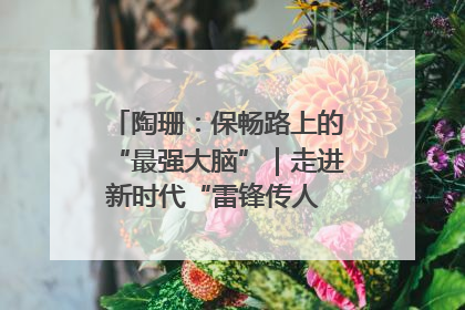 陶珊：保畅路上的“最强大脑”｜走进新时代“雷锋传人 长沙榜样”