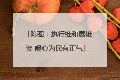 陈强：执行维和展雄姿 暖心为民有正气