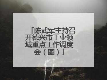 陈武军主持召开德兴市工业领域重点工作调度会（图）