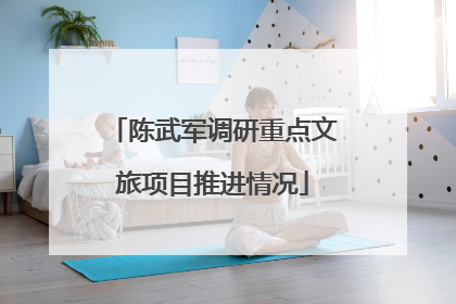 陈武军调研重点文旅项目推进情况
