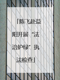 陈飞赴益阳开展“法治护绿”执法检查
