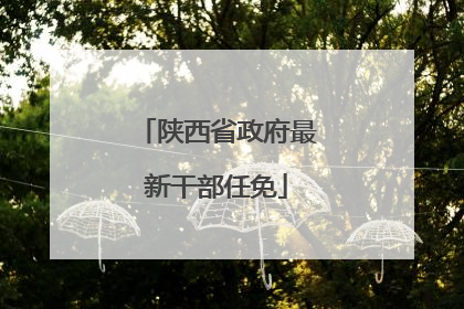 陕西省政府最新干部任免