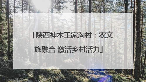 陕西神木王家沟村：农文旅融合 激活乡村活力