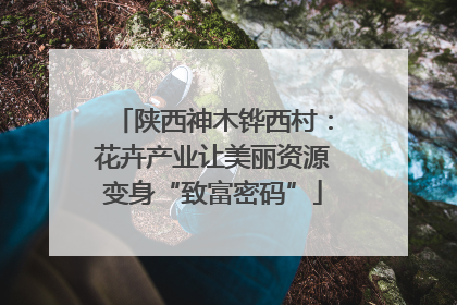陕西神木铧西村：花卉产业让美丽资源变身“致富密码”