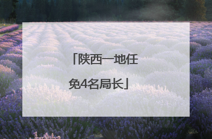 陕西一地任免4名局长
