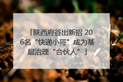 陕西府谷出新招 206名“快递小哥”成为基层治理“合伙人”