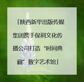 陕西新华出版传媒集团携手保利文化传播公司打造“时间典藏”数字艺术馆