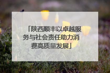 陕西顺丰以卓越服务与社会责任助力消费高质量发展