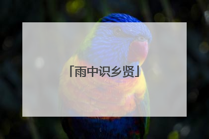 雨中识乡贤