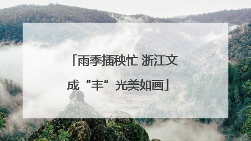 雨季插秧忙 浙江文成“丰”光美如画
