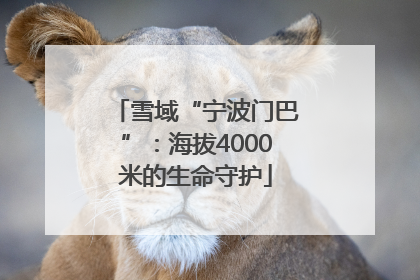 雪域“宁波门巴”：海拔4000米的生命守护