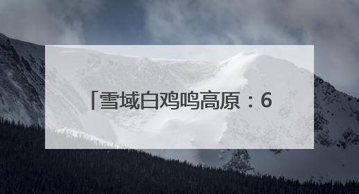雪域白鸡鸣高原:6代科研人用62年孵化出了“金蛋蛋”