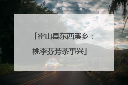 霍山县东西溪乡：桃李芬芳茶事兴
