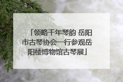 领略千年琴韵 岳阳市古琴协会一行参观岳阳楼博物馆古琴展