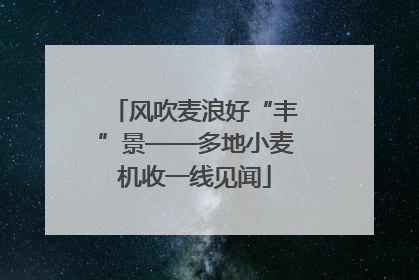 风吹麦浪好“丰”景——多地小麦机收一线见闻