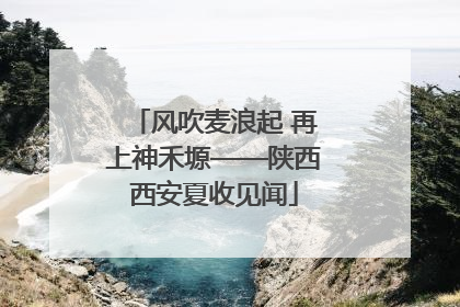 风吹麦浪起 再上神禾塬——陕西西安夏收见闻