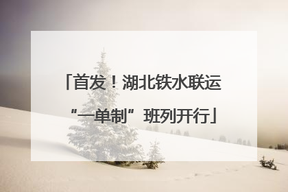 首发！湖北铁水联运“一单制”班列开行