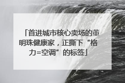 首进城市核心卖场的董明珠健康家，正撕下“格力=空调”的标签