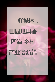 驿城区：田园瓜果香四溢 乡村产业谱新篇