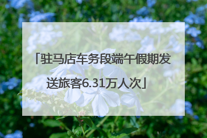 驻马店车务段端午假期发送旅客6.31万人次