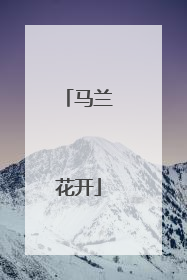 马兰花开