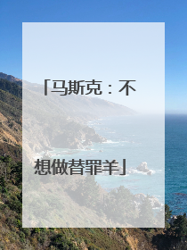 马斯克：不想做替罪羊