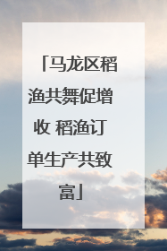 马龙区稻渔共舞促增收 稻渔订单生产共致富