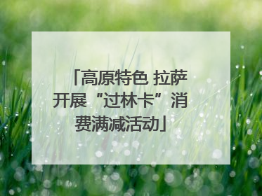 高原特色 拉萨开展“过林卡”消费满减活动
