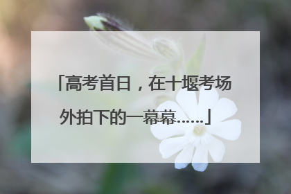 高考首日，在十堰考场外拍下的一幕幕……