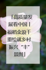 高质量发展看中国丨福稻金浪千重绘就乡村振兴“丰”景图