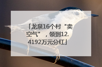 龙泉16个村“卖空气”，领到12.4192万元分红
