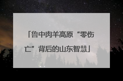 鲁中肉羊高原“零伤亡”背后的山东智慧