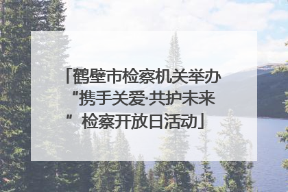 鹤壁市检察机关举办“携手关爱·共护未来”检察开放日活动