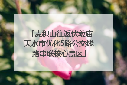 麦积山往返伏羲庙 天水市优化5路公交线路串联核心景区