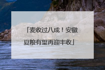 麦收过八成！安徽夏粮有望再迎丰收