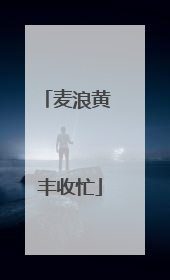 麦浪黄 丰收忙