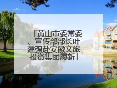 黄山市委常委、宣传部部长叶建强赴安徽文旅投资集团履新